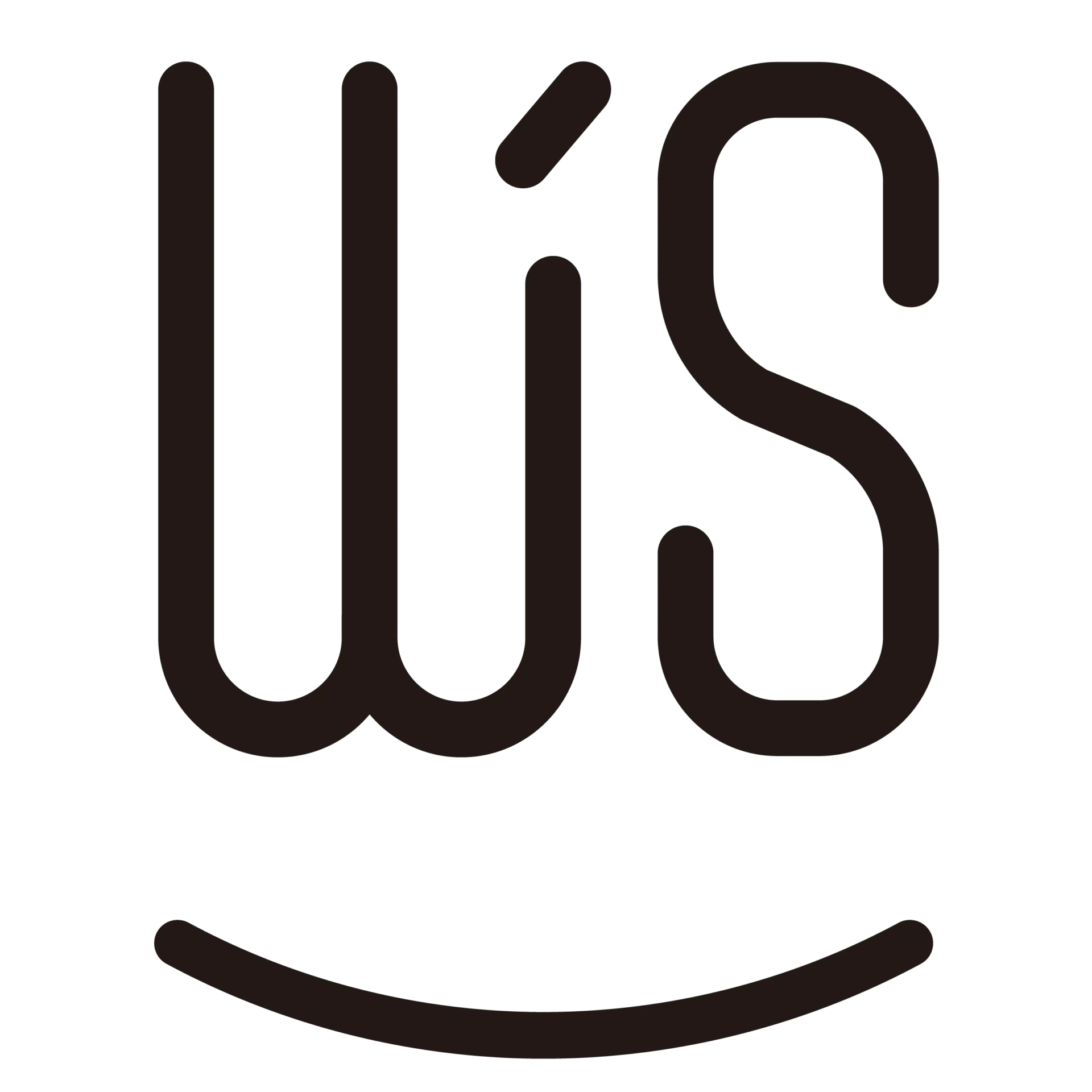 WS hair_logo