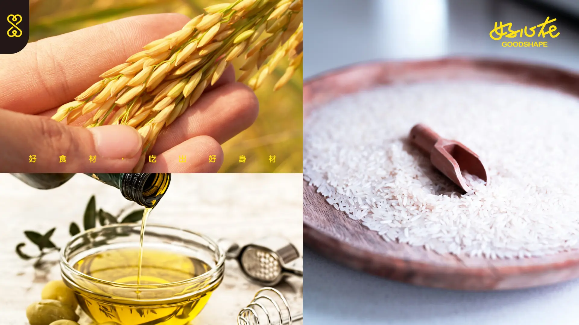 好心在官網圖 工作區域 1 複本 5