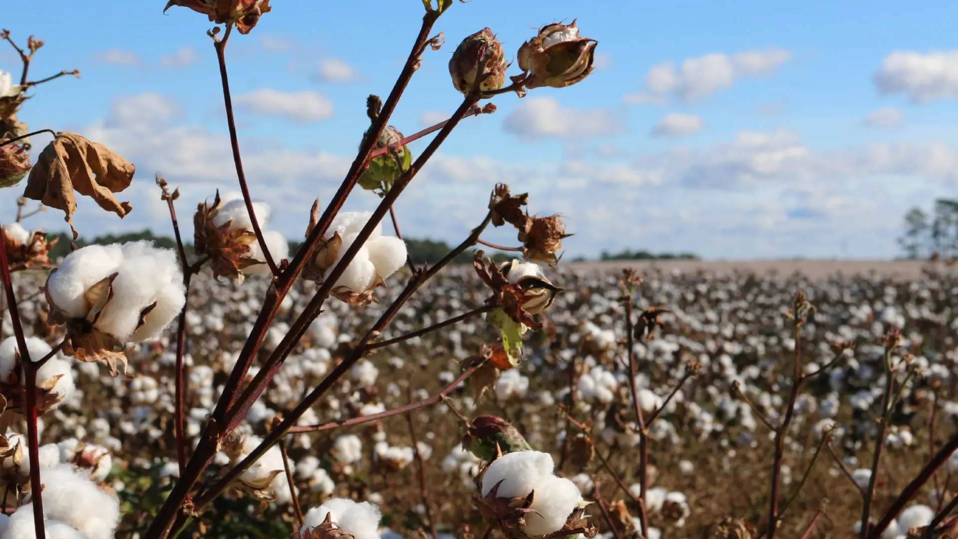 251030 好家庭毛巾 品牌官網圖 2