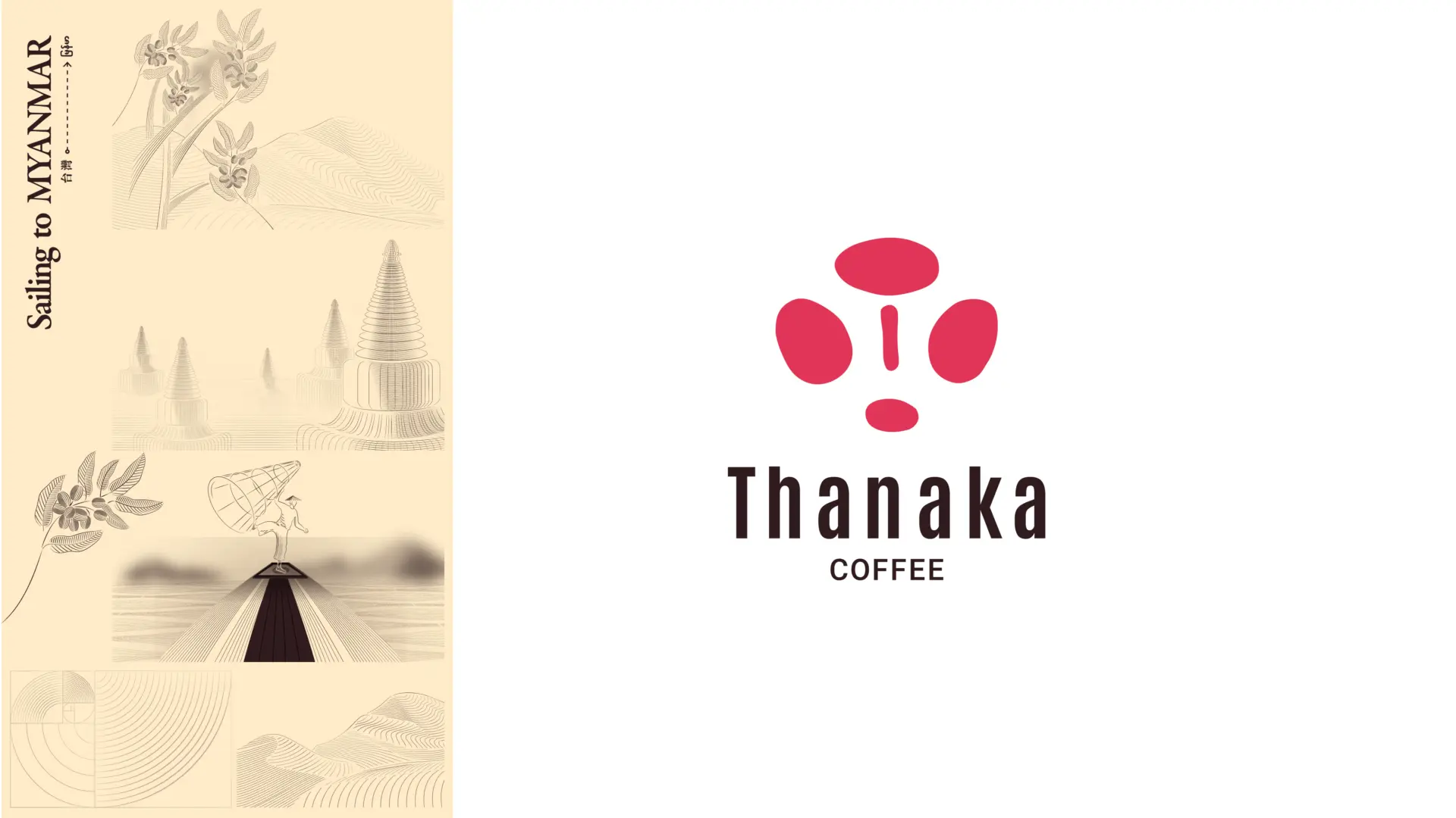 Thanaka coffee官網圖 工作區域 1 01