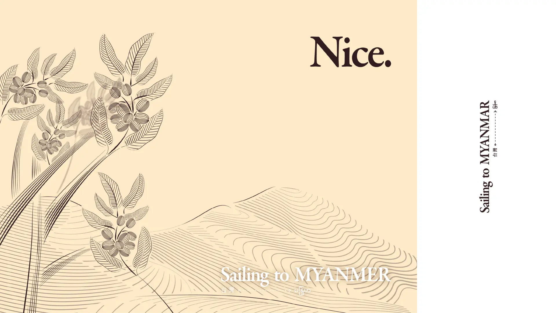 Thanaka coffee官網圖 工作區域 1 複本 2